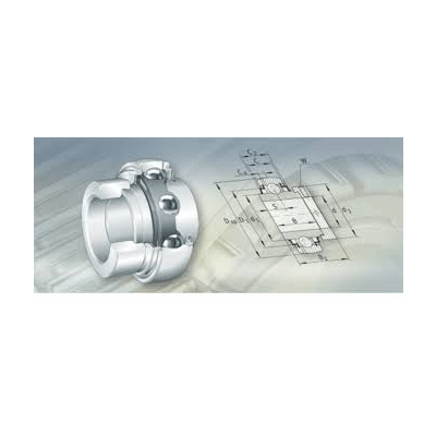 Radial Insert Ball Bearings
