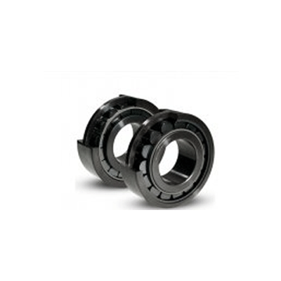 Exsev And Ceramic Special Environment Bearing